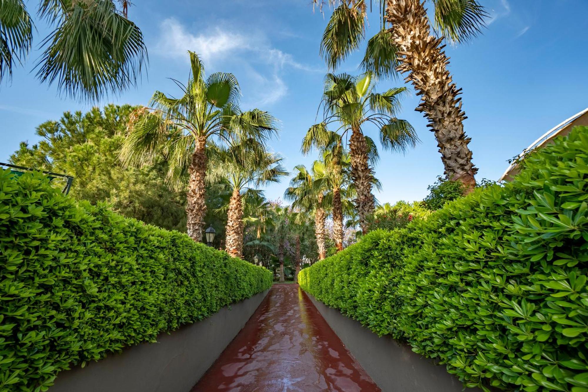 Side Breeze Hotel أنطاليا المظهر الخارجي الصورة